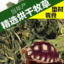 Snake Python tortoise mat natural drying pasture Timothy Hay rabbit ChinChin hamster oat grass dandelion grass