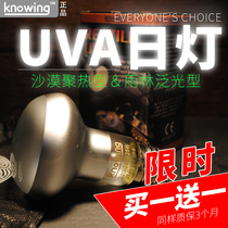 K noin reptile pet UVA desert day light night light tortoise lizard parrot back heating lamp frosted rainforest heat gathering heat