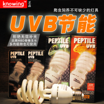 knowing nuoyin crawling pet UVB UVB ultraviolet calcium energy-saving lamp reptile sunless 5 0 10 0 more meat