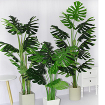 Nordic simulation turtle leaf plant potted indoor ground bonsai decoration fake green planting turtle back bamboo ornaments