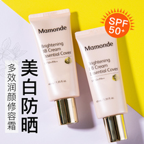Dream makeup official flagship store BB isolation cream foundation concealer moisturizing durable repair to brighten skin tone Sun official website