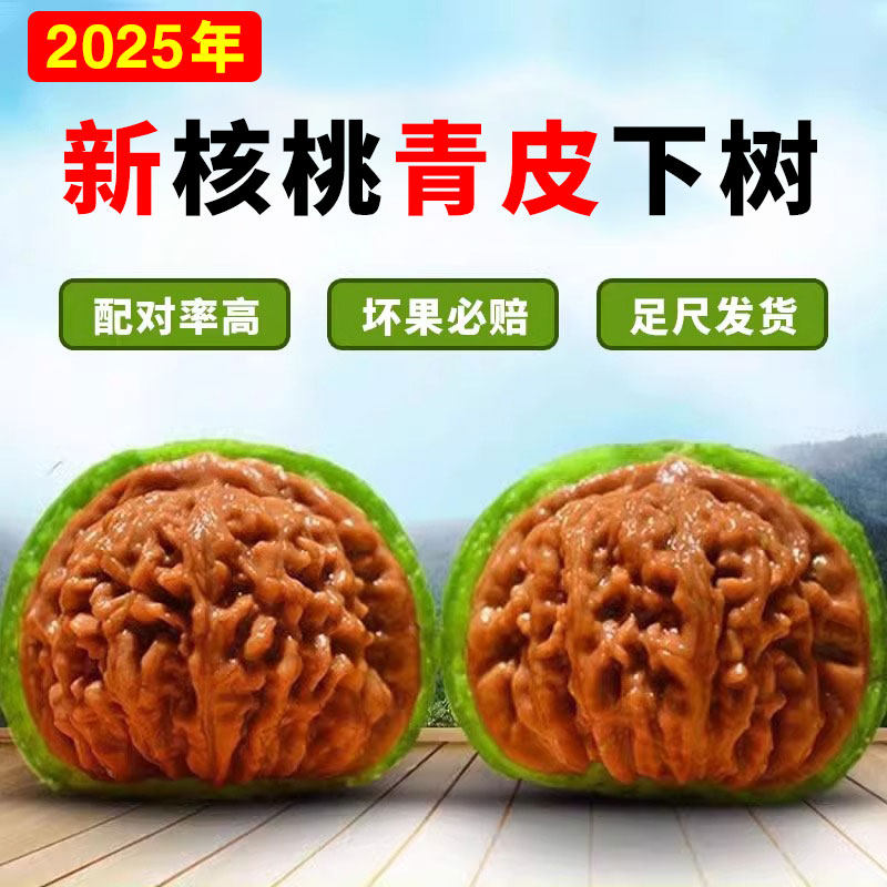 闷尖狮子头文玩核桃-闷尖狮子头文玩核桃促销价格、闷尖狮子头文玩核桃