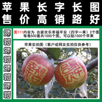 Gifts Apple Art stickers Home Happy Peace and Happiness Figure 111 Tape type full of 100 parts of the region