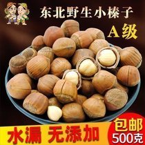 Northeast specialty hazelnut a grade original opening new goods Tieling small hazelnut nut pregnant woman dried fruit 500g