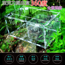 Panoramic high transparent Acrylic pet beetle box Reptile box Acrylic climbing pet feeding box Turtle scorpion new product