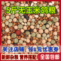 5 Jin pigeon grain no corn pigeon feed bird food pigeon ornamental pigeon meat pigeon food Pigeon Pigeon food pigeon food young pigeon
