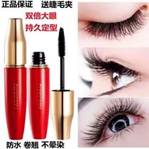 Han Jia Show Mascara Waterproof Slim with long and persistent elongated dense and non-fainting and not demakeup lengthened natural speed dry