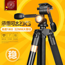 Light-mounted era Q620 SLR camera tripod portable travel Canon photography heavy-duty tripod bracket pan-tilt