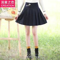 Meteor love girl Korean autumn and winter skirt College Style 2020 New Tide junior high school students autumn skirt