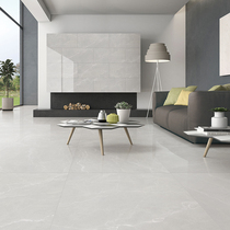 Dongpeng tile Ouya Gray modern simple living room floor tile floor tile 800x800 non-slip wear-resistant floor tiles