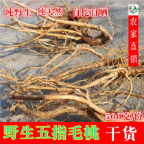 New wild five-finger hairy root slices coconut fragrance five-finger milk five-claw dragon Guangdong soup 500g