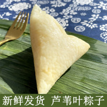 White rice dumplings handmade fresh Reed leaves clear water dumplings Dragon Boat Festival gift box original rice dumplings fresh delivery white rice dumplings