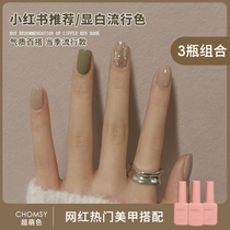 Net red popular color nail oil glue 2021 new nail polish winter color nail art 2020 small set set