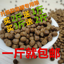 Fish food koi fish feed goldfish small particles large particles ornamental fish fish fish food 500g without water