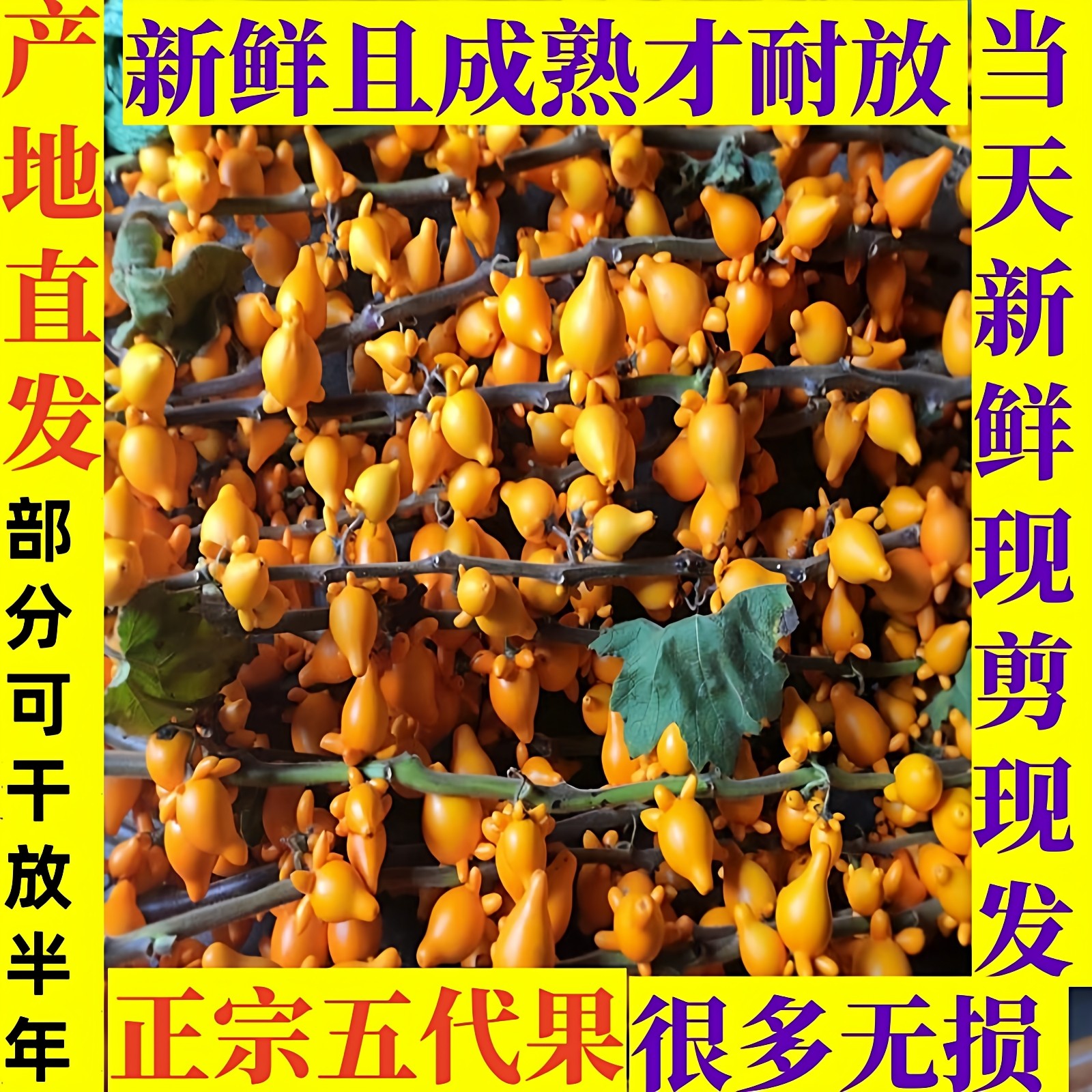 黄金果-黄金果促销价格、黄金果品牌- 淘宝