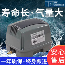 Haili HAP air pump ultra-quiet atmospheric volume household seafood pond fish fish breeding oxygen aerator oxygen pump