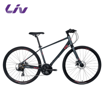 Liv Liyifu new Alight 2 womens 21-speed city leisure commuter flat road bike