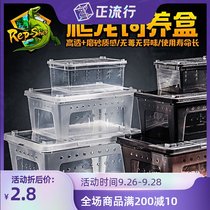 Reptile breeding box crawling box silkworm baby spider horned frog guard box lizard pet supplies snake insect turtle tank