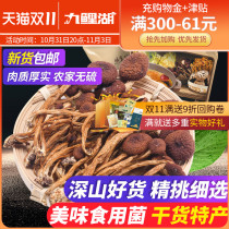 Jiuli Lake Tea Tree Mushroom Jiangxi Tea Tree Mushroom Unopened Umbrella Tea Mushroom Mushroom Mushroom Dry Goods 160g