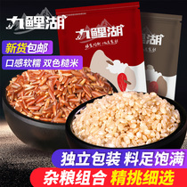 Jiui Lake two-color brown rice farmhouse red rice brown rice combination farmhouse new goods independent packaging grains 1000g