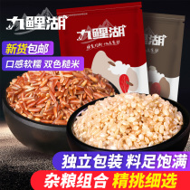Jiui Lake two-color brown rice farmhouse red rice brown rice combination farmhouse new goods independent packaging grains 1000g