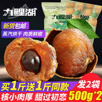Longan buy 1 get 1 free _ A total of 500g * 2 bags of new Longan dried Fujian specialty Longan dried longan meat is non-seedless