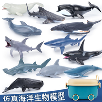 Simulation Marine Fauna Submarine Biomodel Toys Great White Shark Shark Whale Killer Whale Dolphin Sperm Whale children