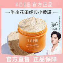 Half acre of flower field Shea Butter Body Exfoliating Body pimple hair follicle shower gel milk yellow jar tx tx