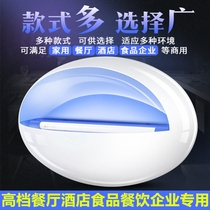 Mosquito killer lamp commercial restaurant Restaurant Restaurant fly lamp factory Hotel low noise sticky fly extinguishing lamp shop