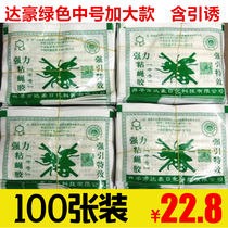 Dachau medium strong sticky fly glue fly stickers to kill flies efficient breeding home 100