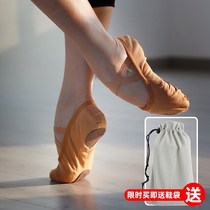 Adult childrens dance shoes womens soft soles dance boys summer children cat claws Chinese Ballet ~ ~