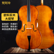 Van Aileen C003 Artisanal Solid Wood Cello Beginners Adult Children Practice Test Class Entrance Playing Instruments