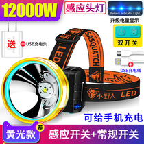 LED headlight work light strong light charging super long battery life super bright head-mounted lighting flashlight fishing miners lamp