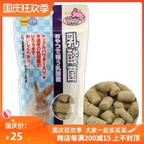 Spot Japan Haipet rabbit Chinchilla guinea pig molar grass grain lactic acid bacteria intestinal straw block 85g