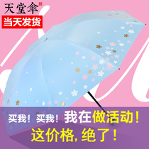 Paradise Umbrella Umbrella Black Gum Sun Super Female Sunshade Umbrella Anti-ultraviolet Three Folding Umbrella Dual Use
