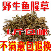 Houttuynia cordata dried Houttuynia tea Chinese herbal medicine fish fish heart grass powder Chinese herbal medicine