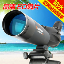 Star Trump distant 20-60X80AED bird watching mirror monocular telescope viewing target viewing HD times portable professional