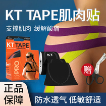 KTTAPE Muscle Sticker Sports Ankle Marathon Fitness Thin Nighttime Running Knee Football Running Elastic Bandage Muscle Sticker