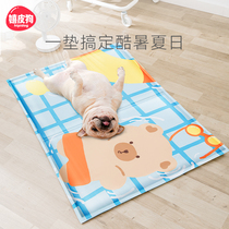 Dogs ice mat summer cooling Teddy mat mat resistant to bite dog mat kitty summer sleeping mat pet sleeping supplies