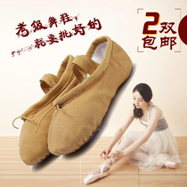 Childrens dance shoes Soft-soled girls  ballet shoes Adult gymnastics shoes Practice shoes Yoga shoes Cat claw shoes