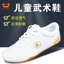 Children's martial arts shoes canvas tai chi shoes women's training martial arts special shoes tai chi training shoes men's cloth shoes autumn and winter