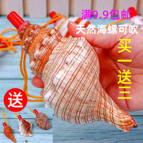 2021 conch horn can blow the horn whistle super large shell whistle childrens toy whistle small snail can blow