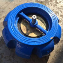 Guangzhou Carters flange clip muffler check valve pumpkin type valve stainless steel one-way reverse flow switch