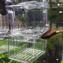 Aquarium Acrylic aquarium isolation box Incubation box Breeding box Fish tank guppies hatching breeding box
