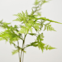 New Chinese Simulation Wen Bamboo Green Plant Shop Window Office Home Living Room Zen Mood Bonsai Flower material decoration F474