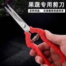 Pruning scissors Floral scissors Fruit picking scissors Flower arrangement Flowers Pruning scissors Floral artist gardening scissors