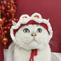 Year of the Tiger Head Hat Pet New Year Jewelry Cat Hat Handmade Wool Knitting Cute Cat Headgear Cover