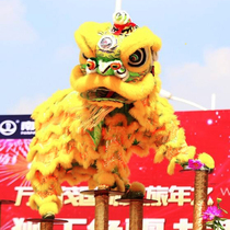 Lion Lion Props Whole dance Lion Dance Lion Dance Lion Lions Supplies South Lion Head Lion Head Adults Full double single