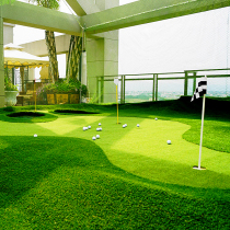 Door-to-door Construction Indoor Outdoor Artificial Lawn Greening Engineering Customised Mini Mini Golf Putter Fruit Ridge