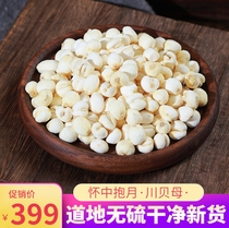 Chuanbei Sichuan imitation wild super-planted rice bei songbei 100g can replace Chuanbei powder loquat autumn pear boil